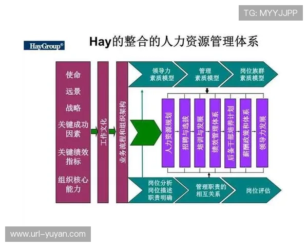 由于订阅模式的深度演进 体育传播服务正逐步构建多层级价值链路
